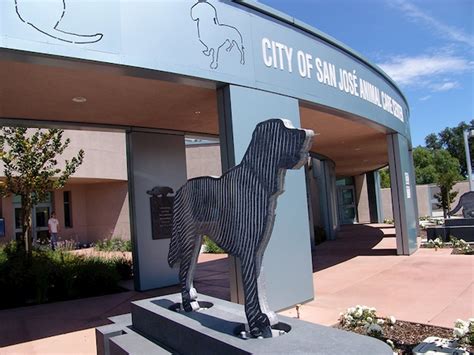 San Jose Animal Care Center Photos